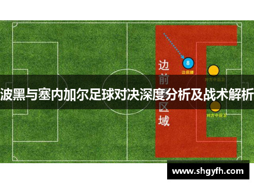 波黑与塞内加尔足球对决深度分析及战术解析
